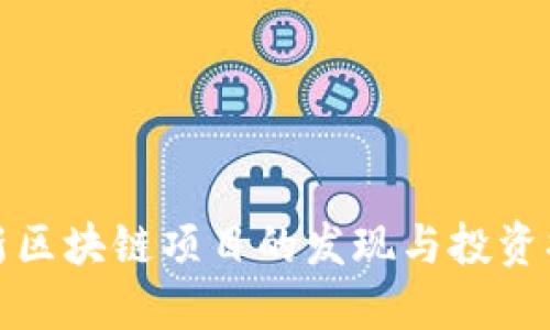 最新区块链项目的发现与投资指南