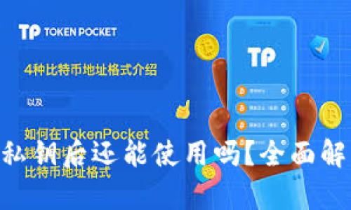 Tokenim卸载私钥后还能使用吗？全面解析与应对策略