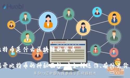 比特币是什么区块链的货币

揭开比特币的神秘面纱：它如何运作、有什么价值
