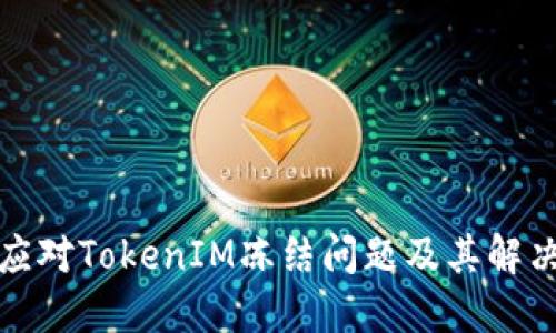 如何应对TokenIM冻结问题及其解决方案