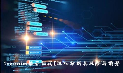 Tokenim能否倒闭？深入分析其风险与前景