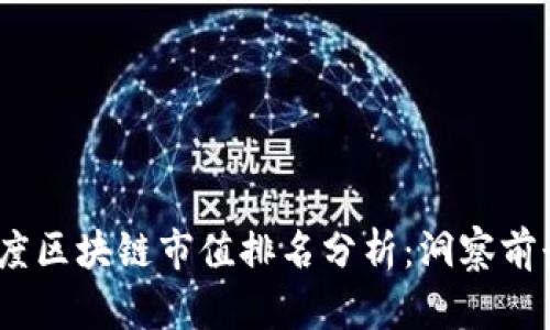2023年度区块链市值排名分析：洞察前景与机遇