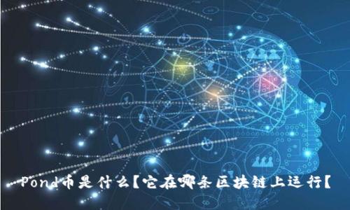 Pond币是什么？它在哪条区块链上运行？