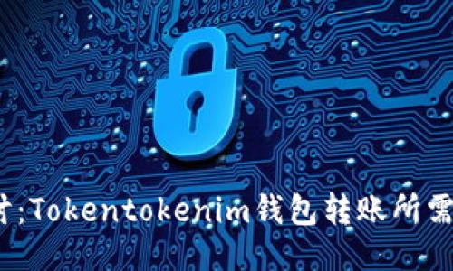  深入探讨：Tokentokenim钱包转账所需能量揭秘