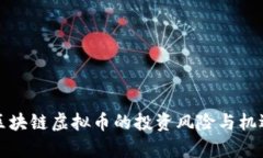 现在区块链虚拟币的投资风险与机遇分析