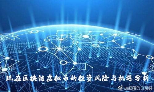 现在区块链虚拟币的投资风险与机遇分析