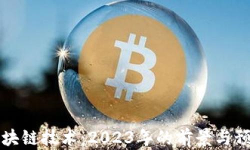 
区块链技术：2023年的前景与预测