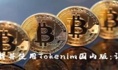 如何下载并使用Tokenim国内版：详细指南
