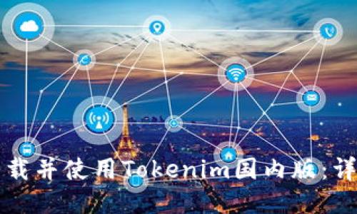 如何下载并使用Tokenim国内版：详细指南