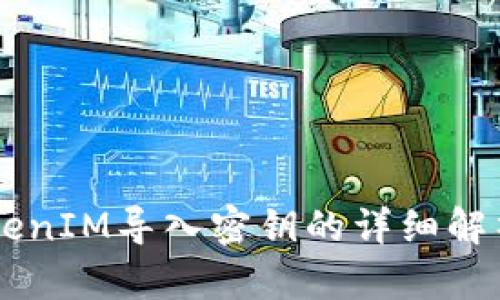 关于TokenIM导入密钥的详细解析与指南