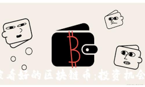   
2022年最被看好的区块链币：投资机会与风险分析