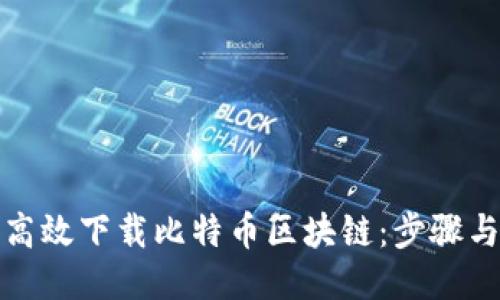 如何高效下载比特币区块链：步骤与技巧