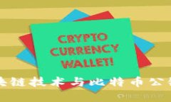 深入探讨区块链技术与比特币公链的未来发展