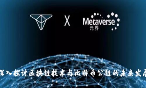 深入探讨区块链技术与比特币公链的未来发展