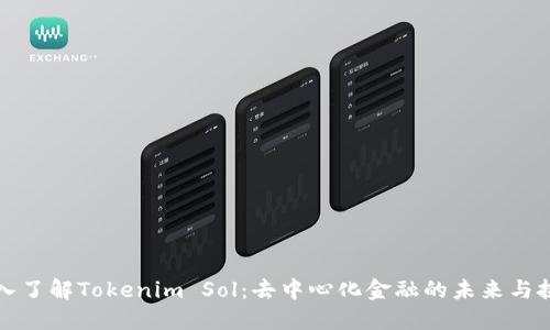 深入了解Tokenim Sol：去中心化金融的未来与挑战