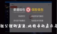 区块链公链的未来：比特币的启示与应用