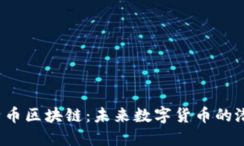  探索莱特币区块链：未来数字货币的潜力与挑战