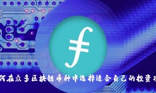 如何在众多区块链币种中选择适合自己的投资项目