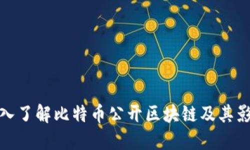 深入了解比特币公开区块链及其影响