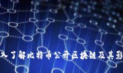 深入了解比特币公开区块链及其影响