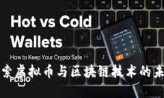 深入探索虚拟币与区块链技术的未来发展