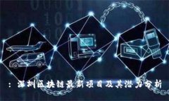 : 深圳区块链最新项目及其潜力分析