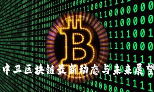 中卫区块链最新动态与未来展望