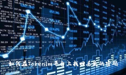 如何在Tokenim平台上找回丢失的密码