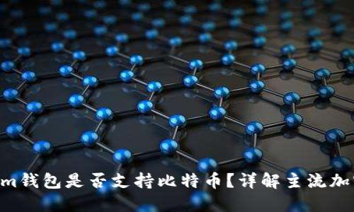 Tokentokenim钱包是否支持比特币？详解主流加密钱包的功能