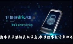 渝中区区块链最新消息：抓住数字经济新机遇