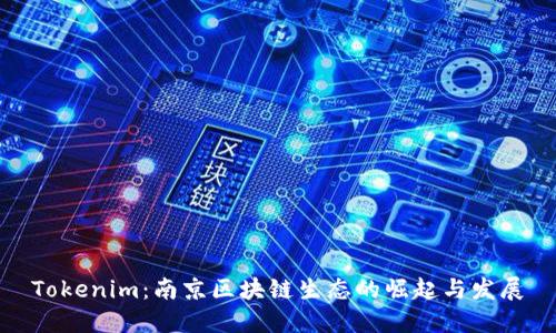 Tokenim：南京区块链生态的崛起与发展