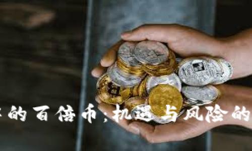 区块链中的百倍币：机遇与风险的全面解析