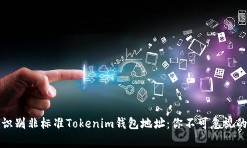 如何快速识别非标准Tokenim钱包地址：你不可忽视的常见陷阱