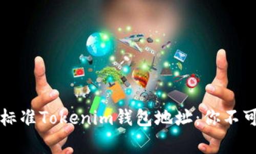 如何快速识别非标准Tokenim钱包地址：你不可忽视的常见陷阱