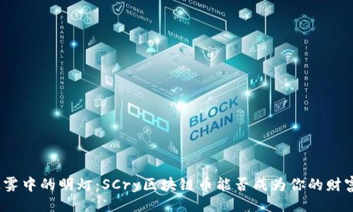 菌体
投资迷雾中的明灯：SCry区块链币能否成为你的财富之路？