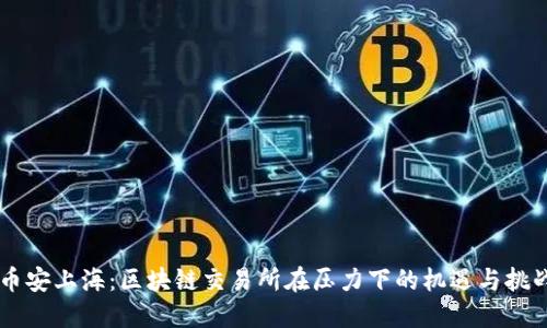 币安上海：区块链交易所在压力下的机遇与挑战