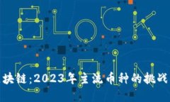 解码区块链：2023年主流币种的挑战与机遇