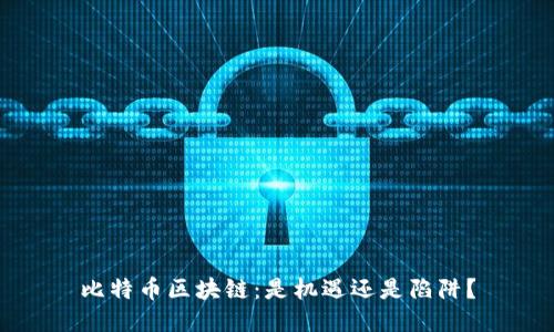 比特币区块链：是机遇还是陷阱？
