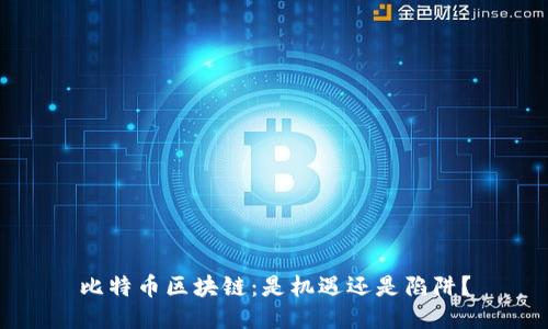 比特币区块链：是机遇还是陷阱？