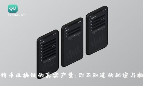 比特币区块链的真实产量：你不知道的秘密与挑战