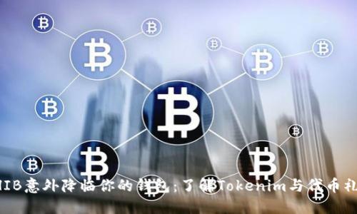 不要让SHIB意外降临你的钱包：了解Tokenim与代币礼物的背后
