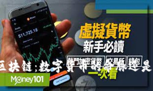 比特币与区块链：数字货币的命脉还是步入迷局？