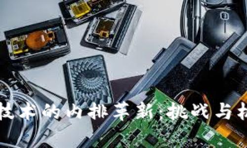 区块链技术的内排革新：挑战与机遇并存