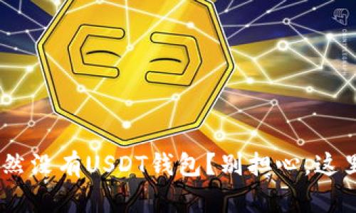 Tokenim上竟然没有USDT钱包？别担心，这里有解决方案！