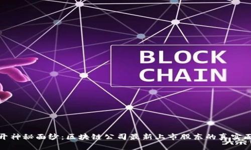 揭开神秘面纱：区块链公司最新上市股东的真实面孔