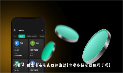 比特币：财富自由还是投机泡沫？你准备好迎接挑战了吗？