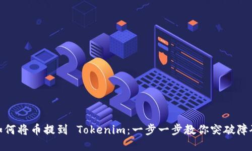 如何将币提到 Tokenim：一步一步教你突破障碍