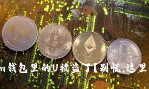 你的Tokenim钱包里的U被盗了？别慌，这里有解决方案！