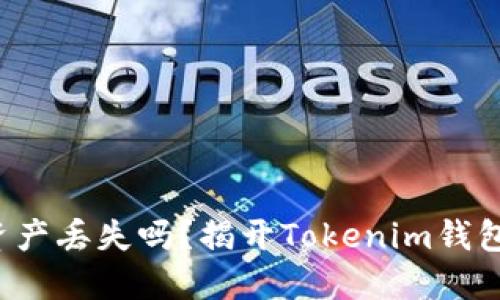 你还在担心数字资产丢失吗？揭开Tokenim钱包记录的神秘面纱！