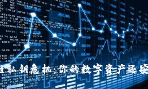 “区块链私钥危机：你的数字资产还安全吗？”